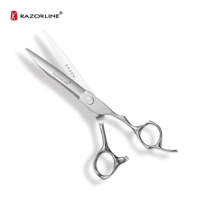 High Quality Stainless Steel scissors hair Professional barber Different Types Of Hair Scissors