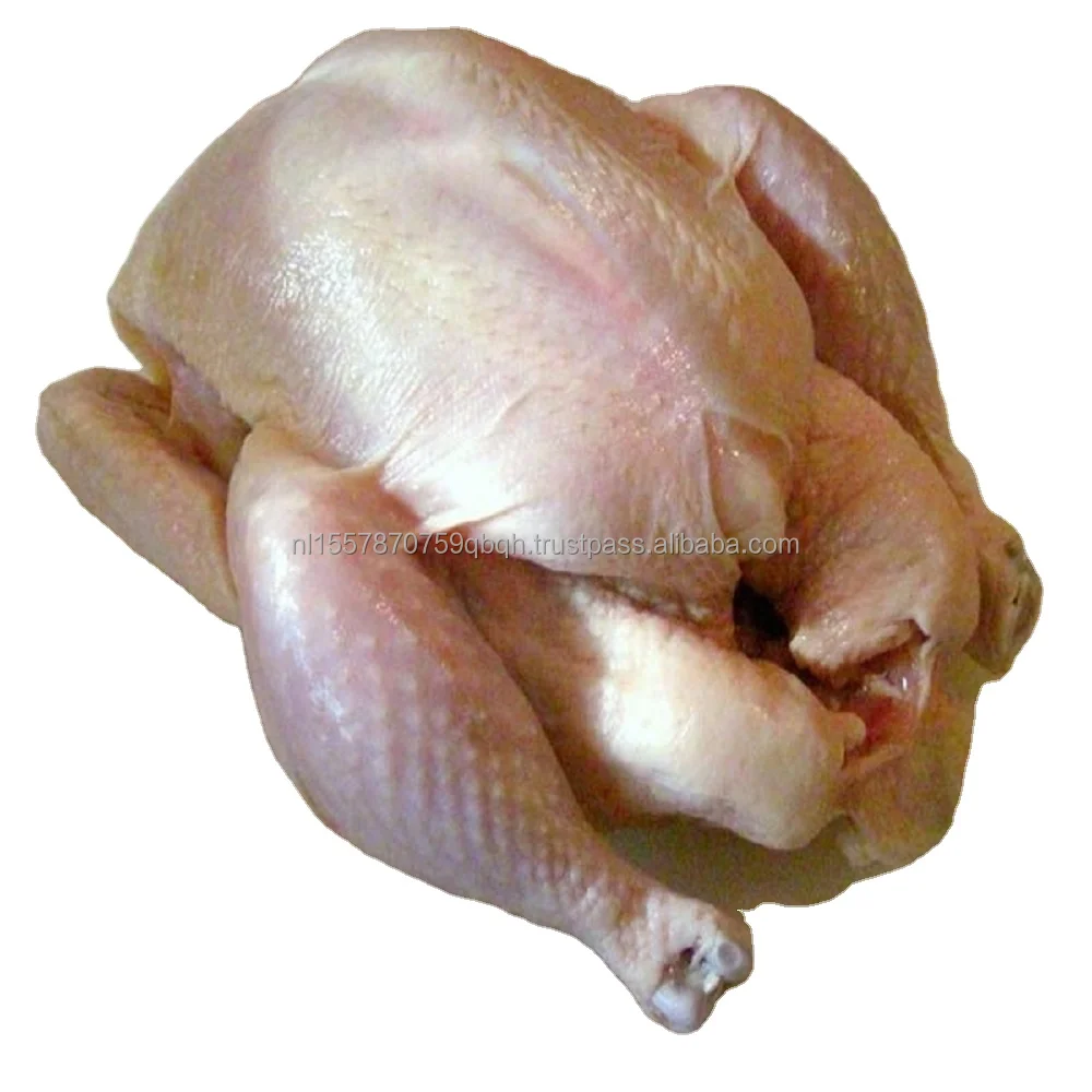 Замороженная Курица цельная курица замороженная Халяль бразильское происхождение свежая грудь без костей 3 крыла конкурентоспособная