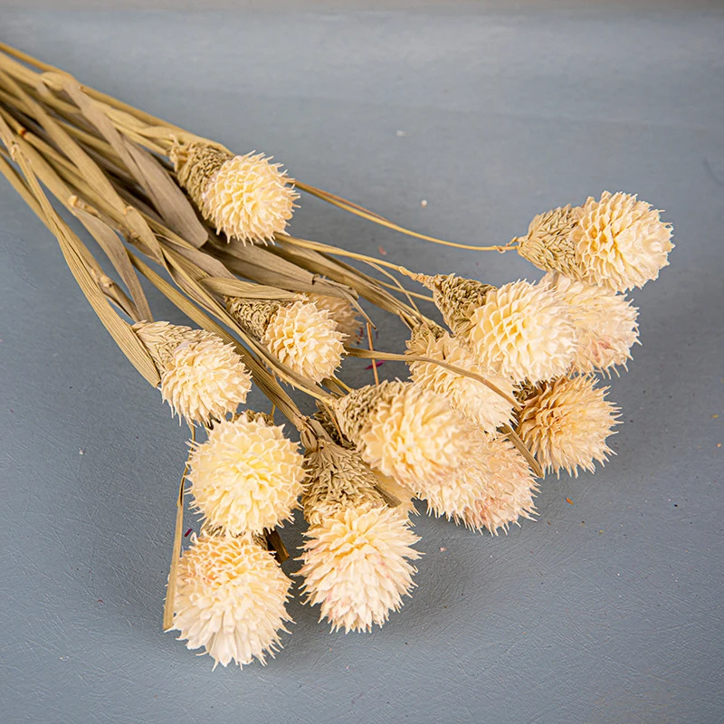 Chasewin Germany Australia top sale dried flowers real decorative flowers globe amaranth packing 15pcs each bag