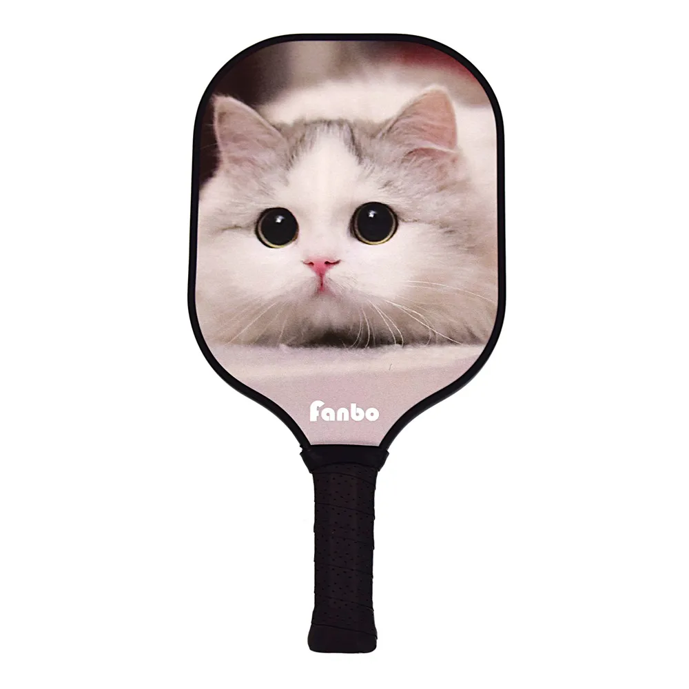 
mingxuan custom logo USAPA professional pickleball paddle with pickleball balls 