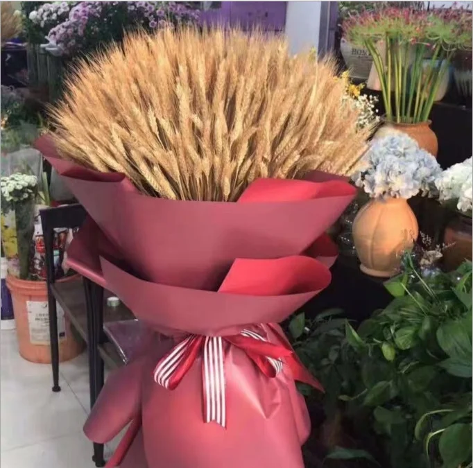 High Quality Dry Wheat Grass Wreath Natural Style Silk Flower Home Decoration Beautiful Branches Competitive Price Weddings