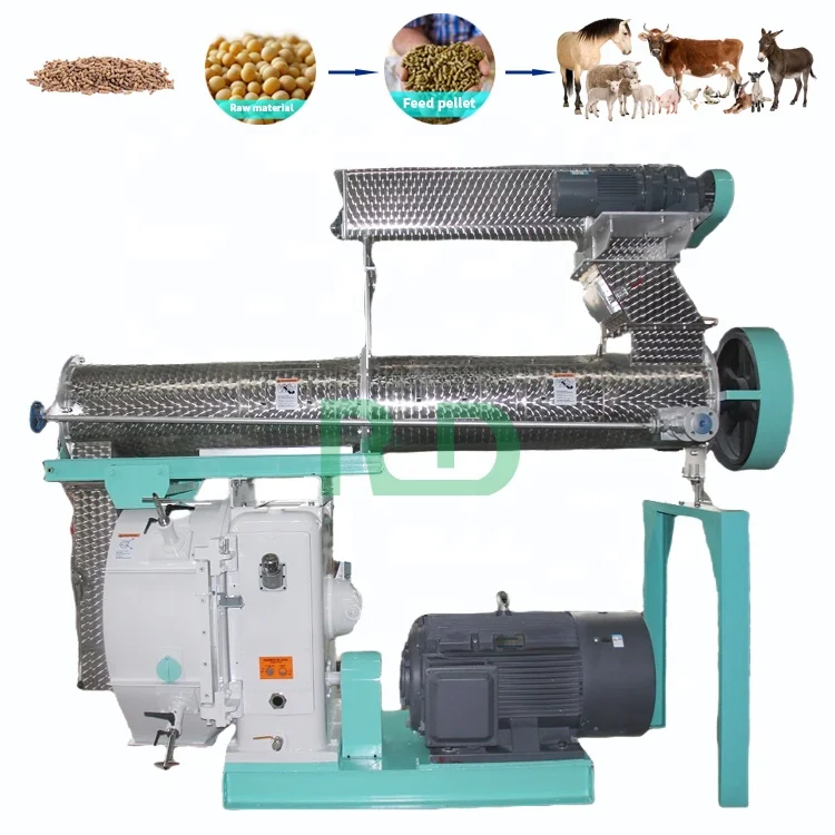Rongda Factory Pig Feed Pelletizer Pellet Machine Chicken Feed Pellet Machine Animal Feed Granulated Machine