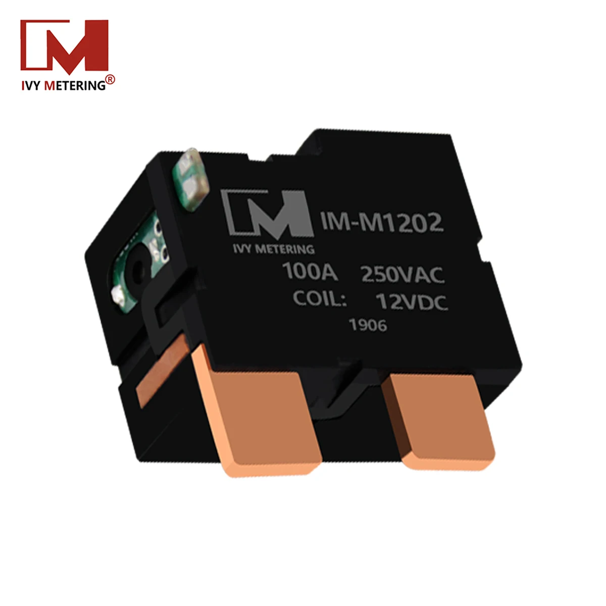 IVY Metering Smart Meter Remote Control Switch 100A 250VAC 12V Coil Bistable Motor Latch Relay