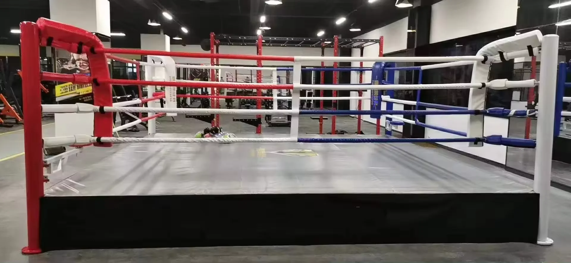 2024 Professional Customized Size Logo Table Flooring Boxing Ring Price PVC Canvas Taekwondo Karate Wrestling Judo Boxing Ring