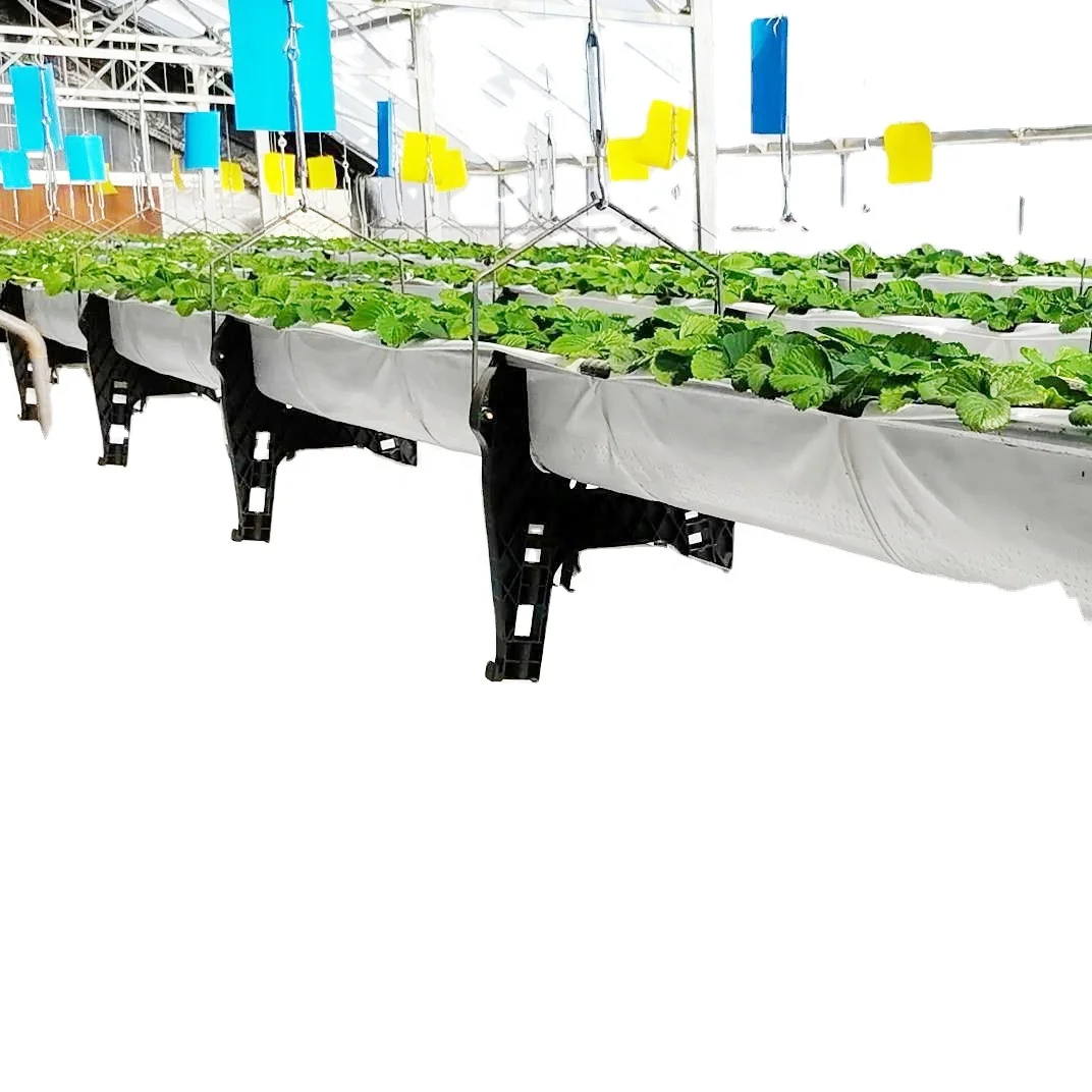 Most Popular Aerial Strawberry Facility Greenhouse hanging strawberry shelf and soilless cultivation mode