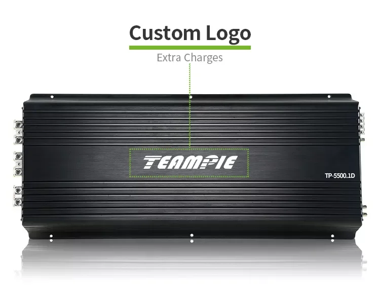 TP-5500.1D 5500 Watt RMS Mono Block Class D Amplifier  RMS High Power Small Chassis Amplification