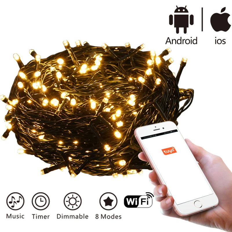 DSL-TUYA series 2020 new design Wireless outdoor light 8 functions Tuya Wifi App Control christmas string light with Music