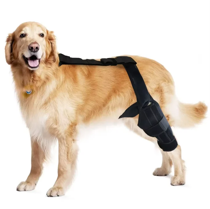 Factory Customized logo Dog Knee Brace Leg Brace Dogs with ACL CCL Cruciate Ligament Injuries for Front and Hind Leg