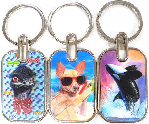 Factory Sale Pattern customized 3d Lenticular Printing Key chain for decoration
