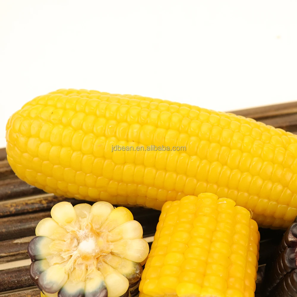 Ready to Eat Yellow Corn Cob Non-GMO Maize Sweet Waxy Fresh Corn Vacuum Packed