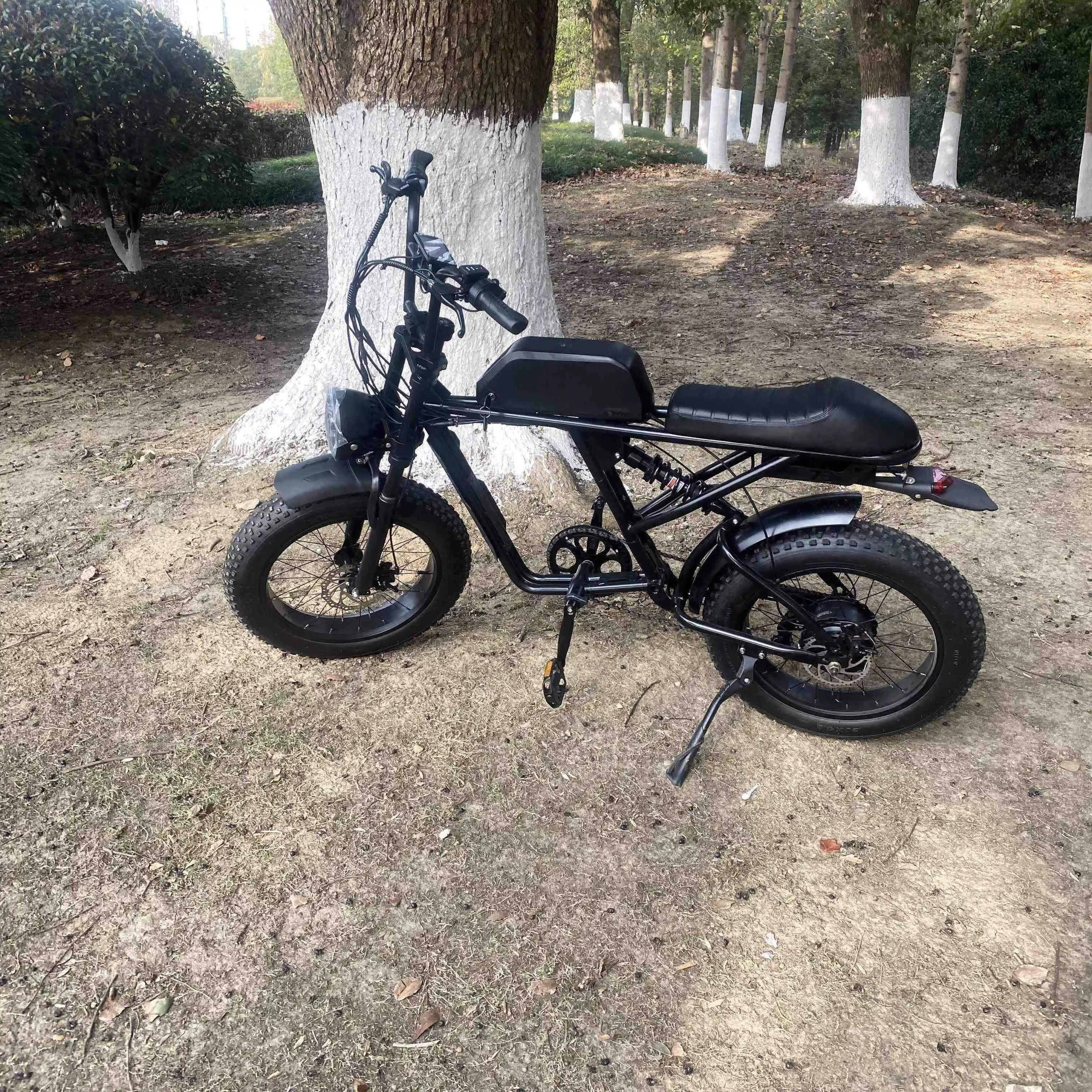 Лучшее качество китайский производитель E-Ride Pro Ss Ebike As