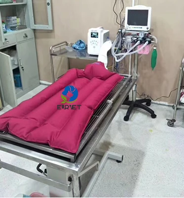 EUR PET Best Selling Dog Clinic Air Warming System Veterinary Equipment Most Affordable Price Pet Warming Blanket