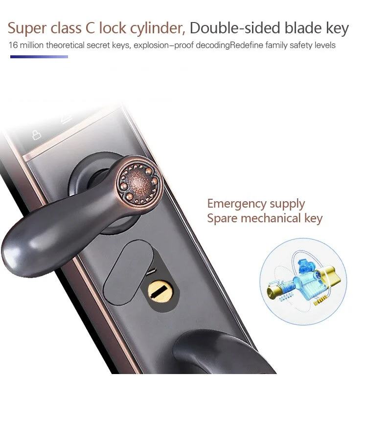 Luxury European villa entry door household intelligent electronic password fingerprint Tuya Camera 6068 mortise door lock