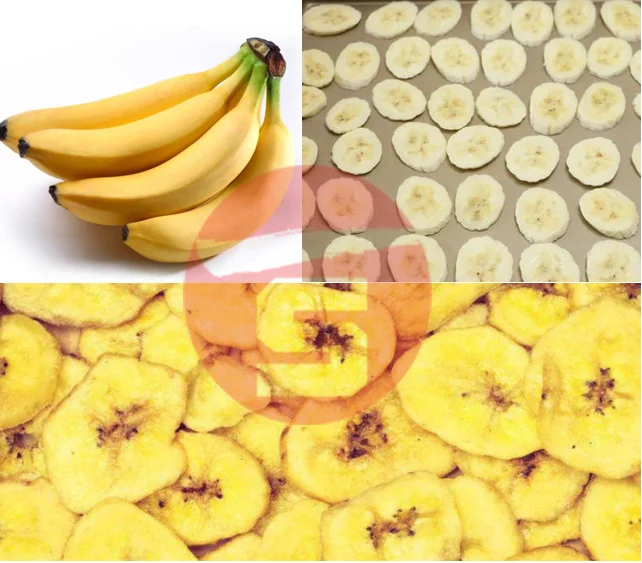 Independent Cabinets Factory Direct SS Stainless Dehydrator Commercial Freeze Dehydrated Fruits Food Mango Drying Dryer Machine