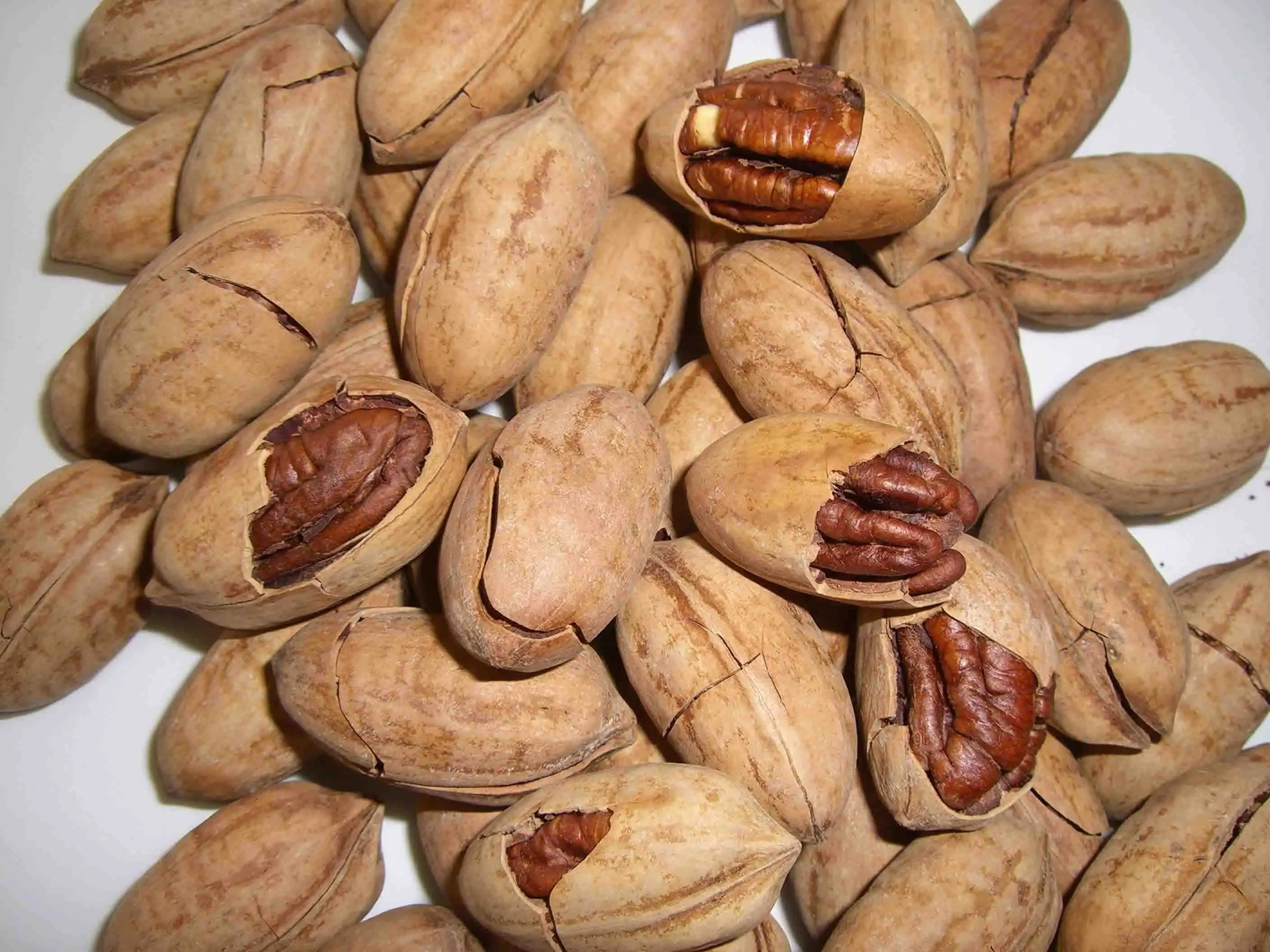 healthy and delicious Pecan in shell