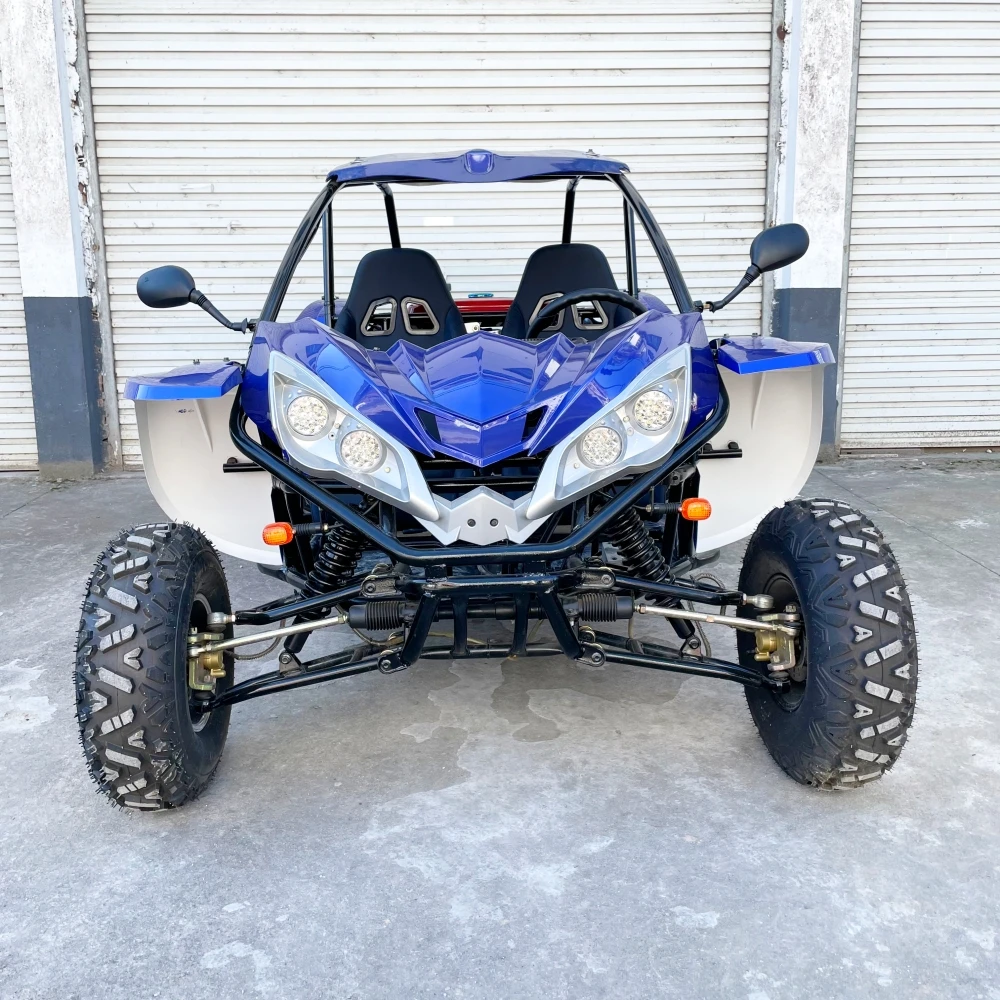 LNA deluxe details 300cc go kart car prices