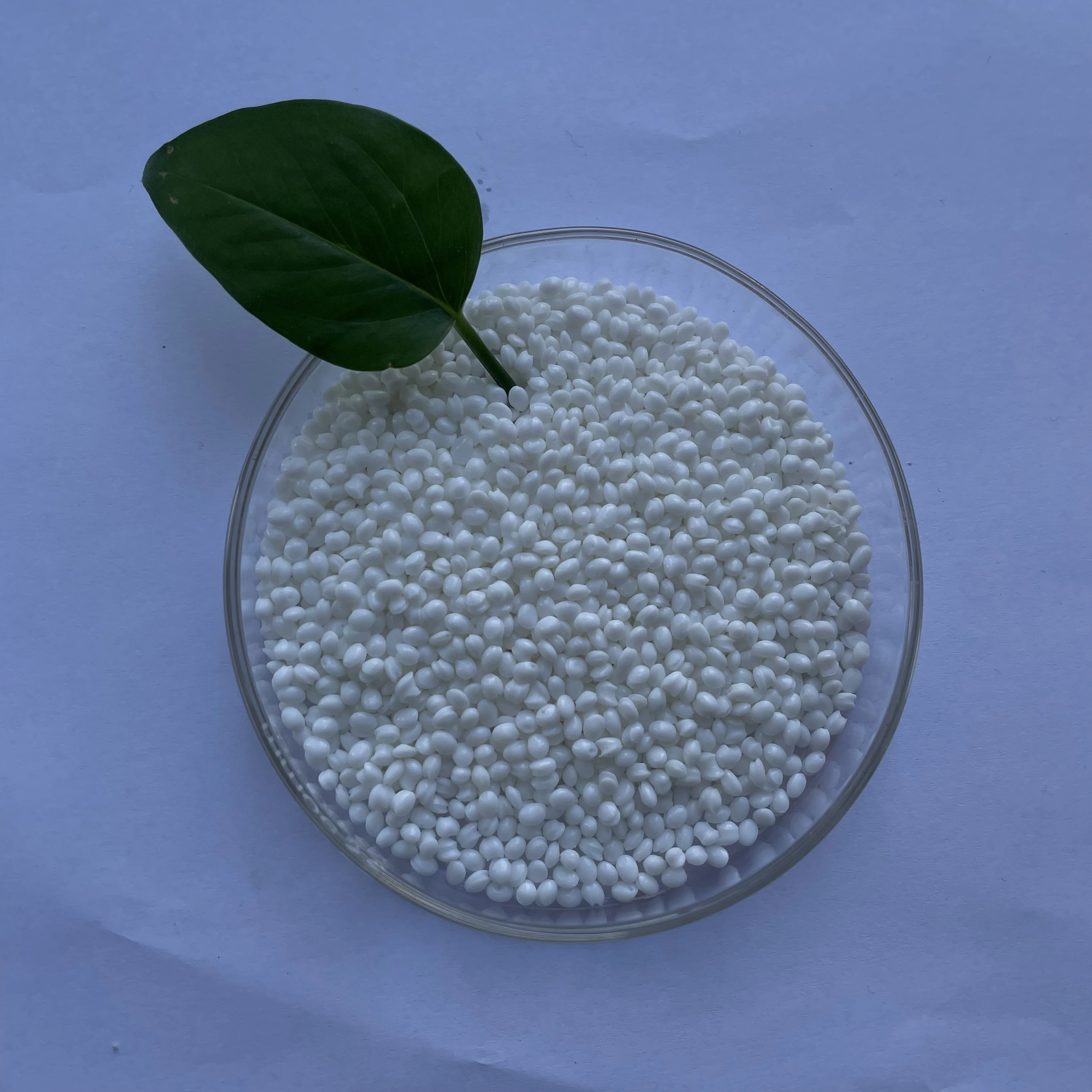 Wholesale Quality Polypropylene polyethylene PP Granules Raw Material