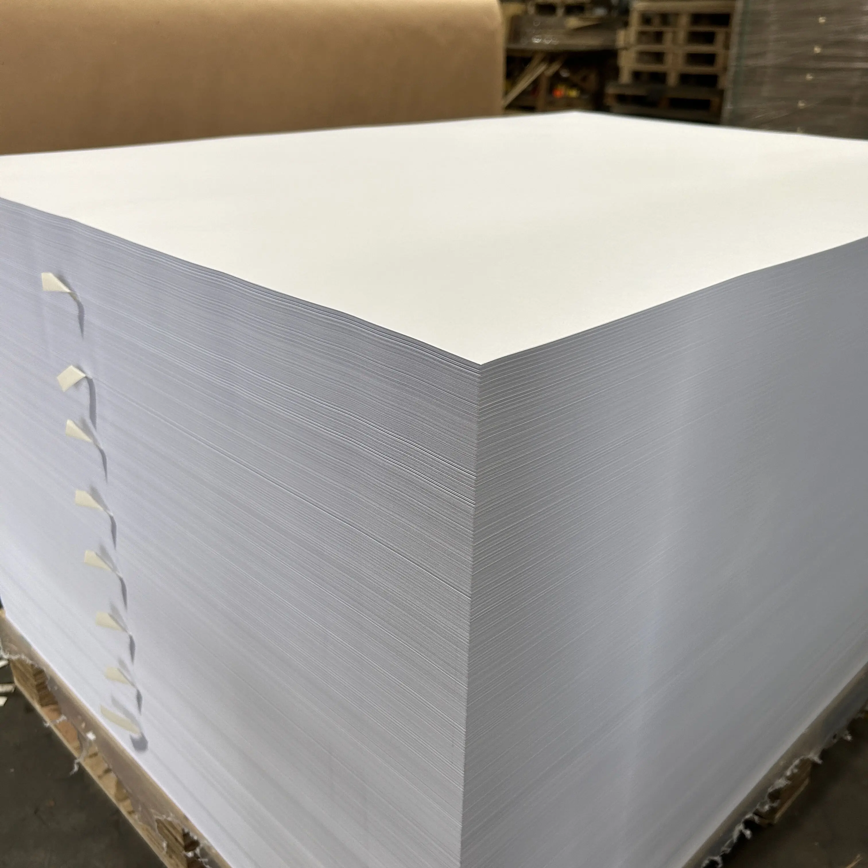 Ningbo Fold Paper Board C1s Coated 250gsm 300gsm Fbb Ivory Board