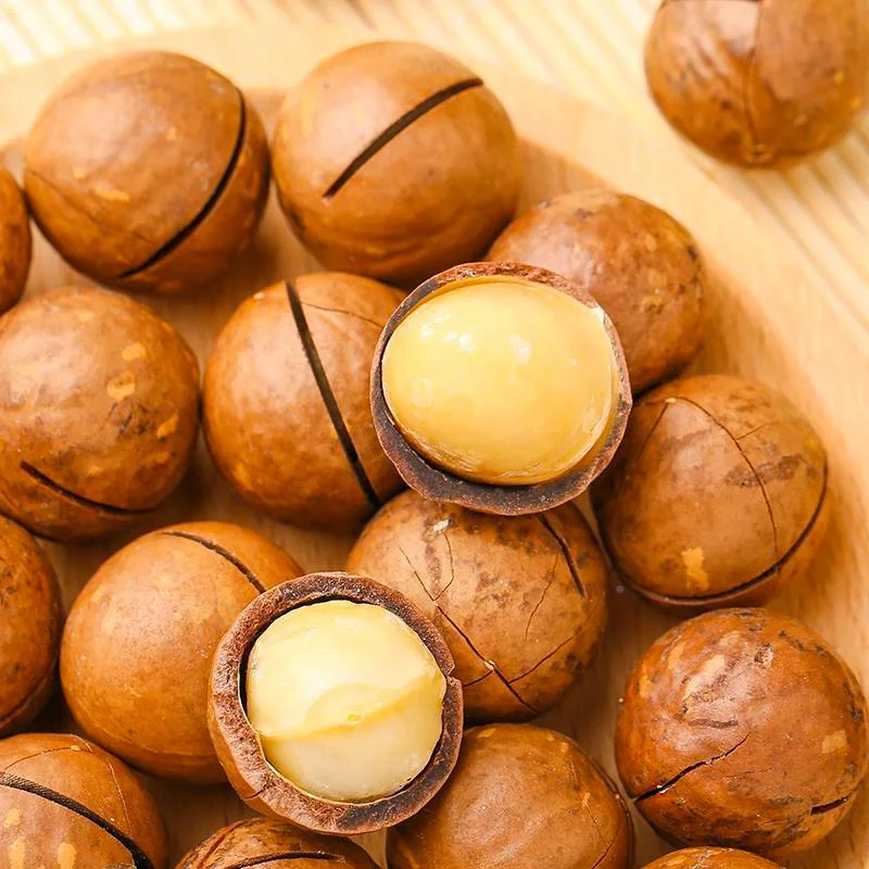 500g Rich Nutrition Delicious Wholesale Prices Of Macadamia Nuts For Sale Macadamia Nuts