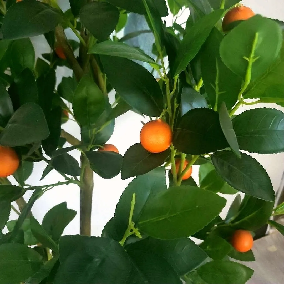 Best Price New Design Artificial Lemon Fruit Tree home Decorative orange Tree For Indoor Outdoor
