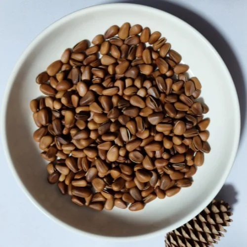 Jilin Organic Pine Nuts from Northeast China Bulk Packaged Roasted Dried Nut Food Rich in Nutrients Agriculture Product