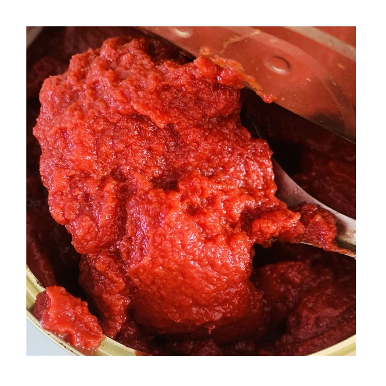Concentrate tomato paste canned 400g tin 28-30% brix canned tomato paste