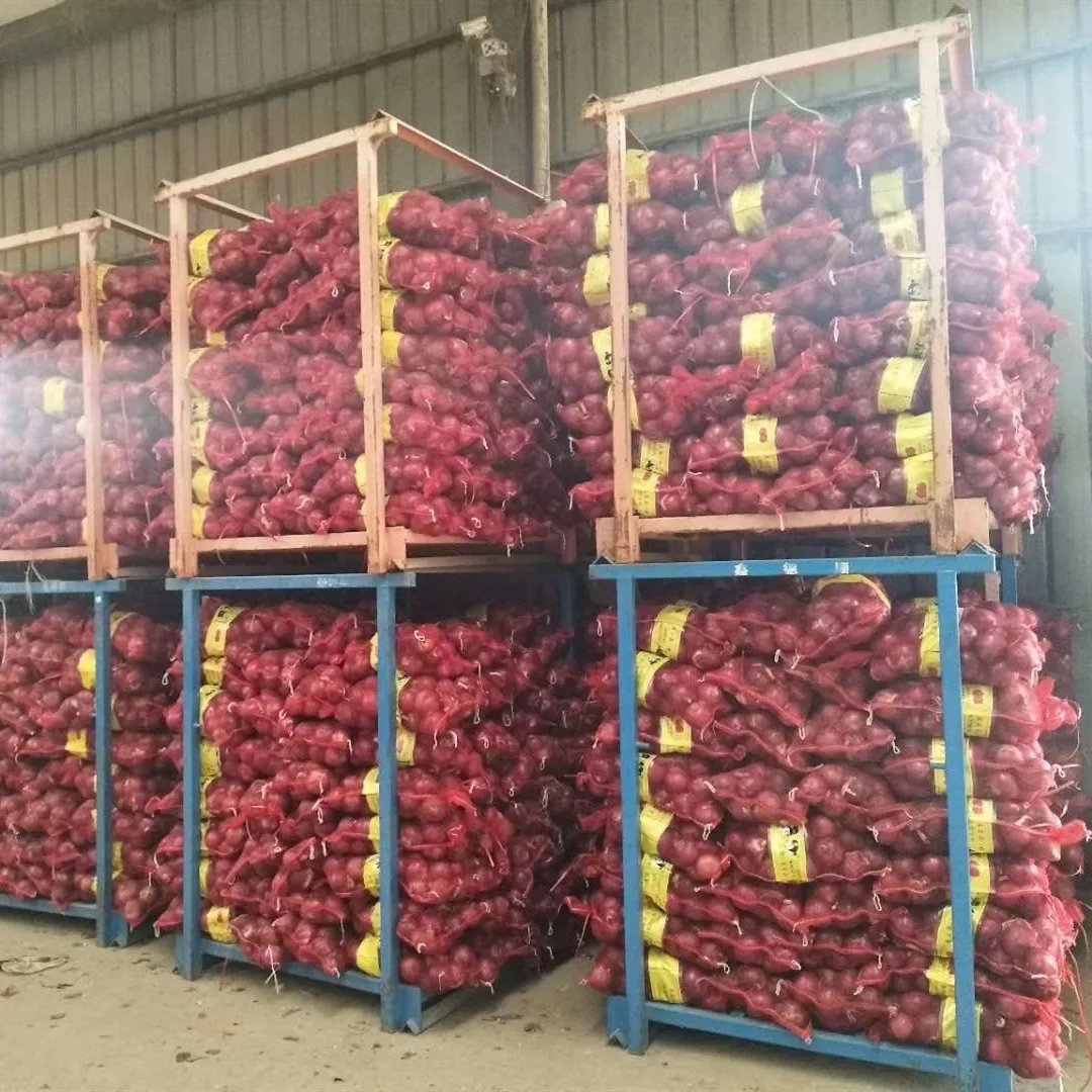 
CHINESE ONION HIGH QUALITY ONION HOT SALE ONION 