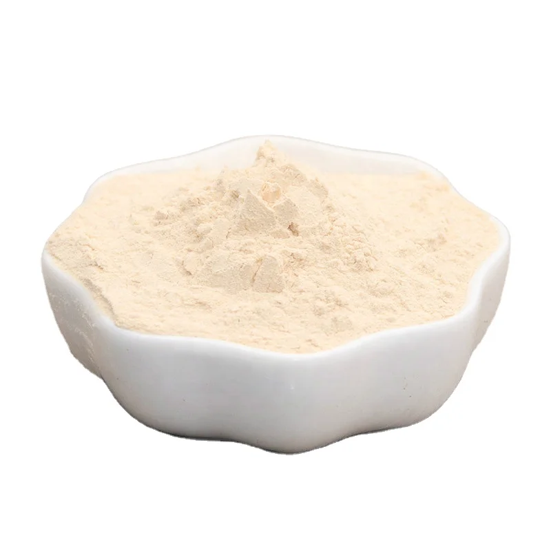 Hot Sale High Quality Bulk Air Dried White Onion Powder