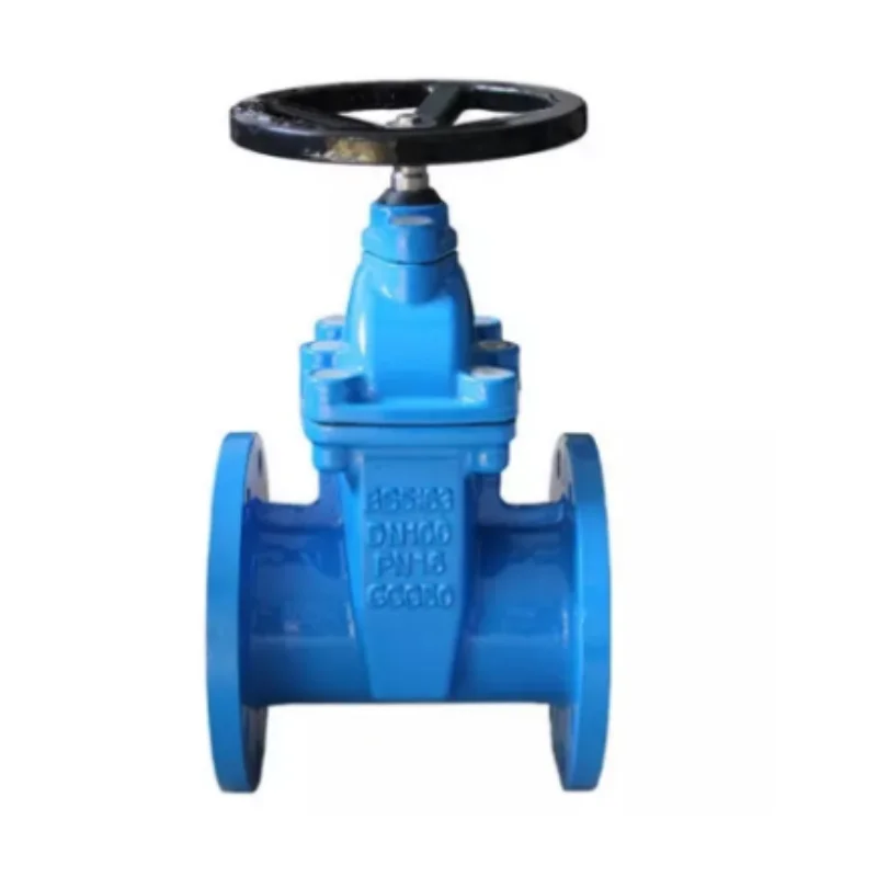 Cast Iron Rising Stem Gate Valve DN125 GOST Russian Standard Valve