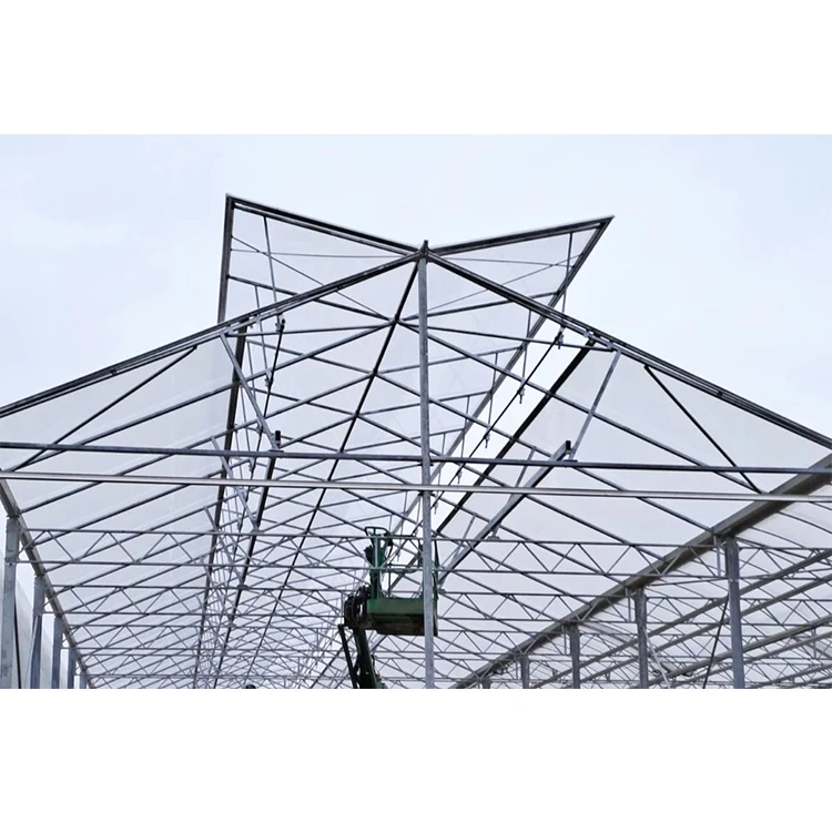 Galvanized Steel Frame Single Span Pe Film Greenhouse for Agriculture Low Cost Tunnel Greenhouse for Flowers Plant