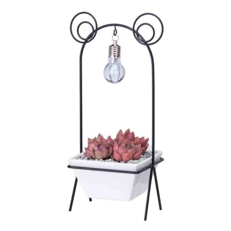 Factory Hot Sell White Ceramic Pot Frog Shape Creative Flowerpot For Desktop Ornaments