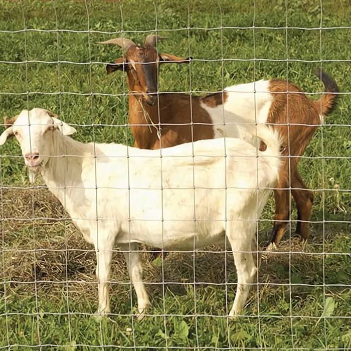 High Tensile Sheep Goat Fencing Filed fence/ farm fencing /farm wire fence