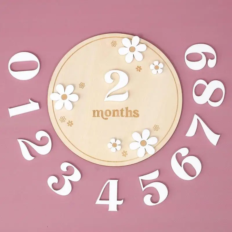 Wooden Daisy Flower Arched Milestone Cards Monthly Milestone Markers Interchangeable Milestone Card Photo Prop