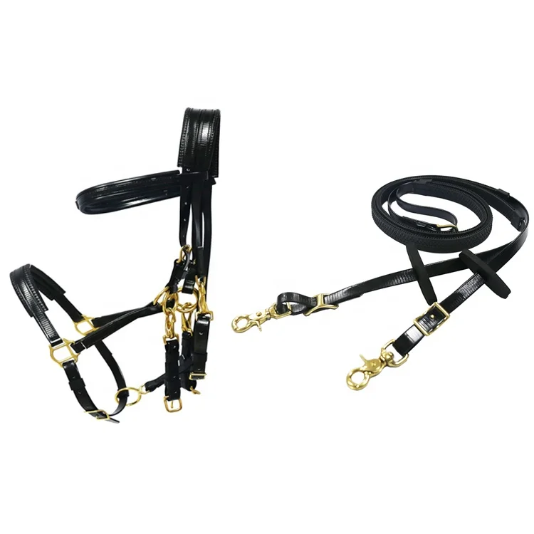 horse riding equipment pvc endurance bridle and rein