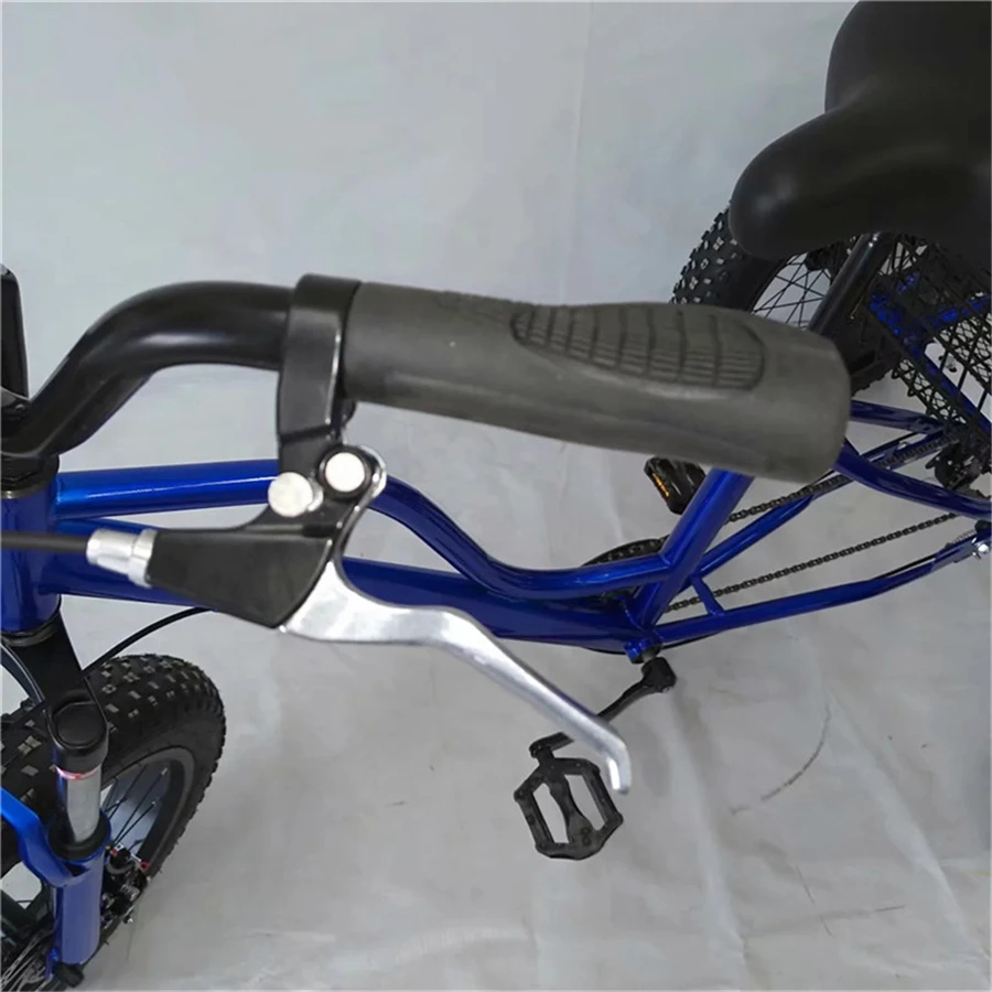 New Original 500 Lb Weight Capacity Adult Tricycle Petrol Auto Rickshaw Tuk for Sale