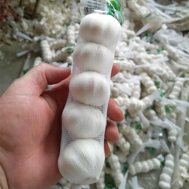 4.5cm 5.0cm 5.5cm 6.0cm Chinese Fresh Garlic Dried China Pure White Normal White Vegetables Garlic Small Packing For Export