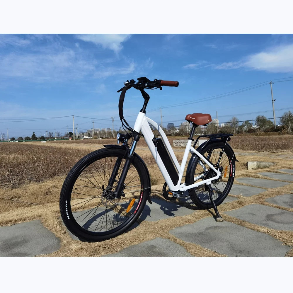 2021 Vintage 48V 14AH Battery Electric City Bike 48V 500W 27.5 Inch Step Through Ebike for Women