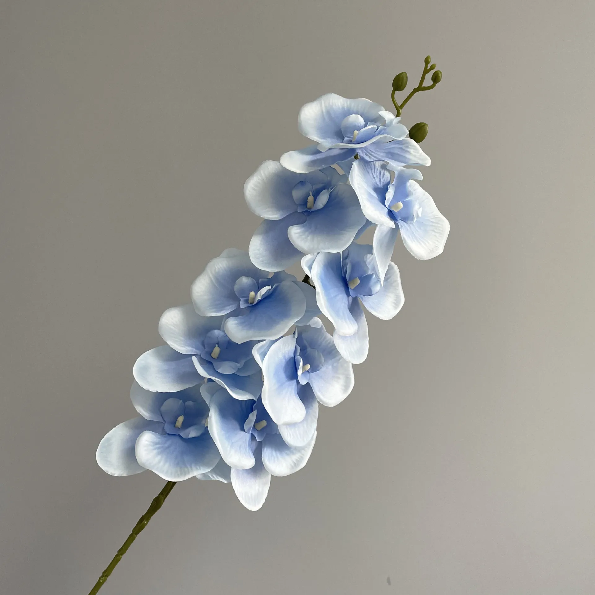 Factory Hot Sale Artificial Orchids High Quality Phalaenopsi Phalaenopsis Simulation Flower Phalaenopsis