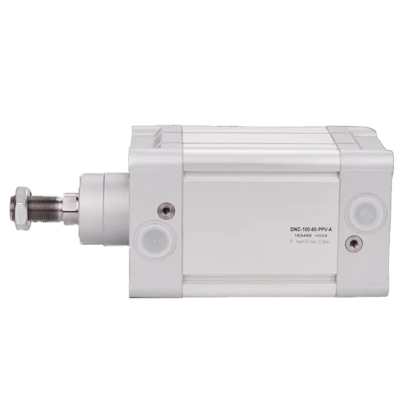 DNC Series Standards-based Cylinder DNC-100-25 50 100 200 400 500-PPV-A