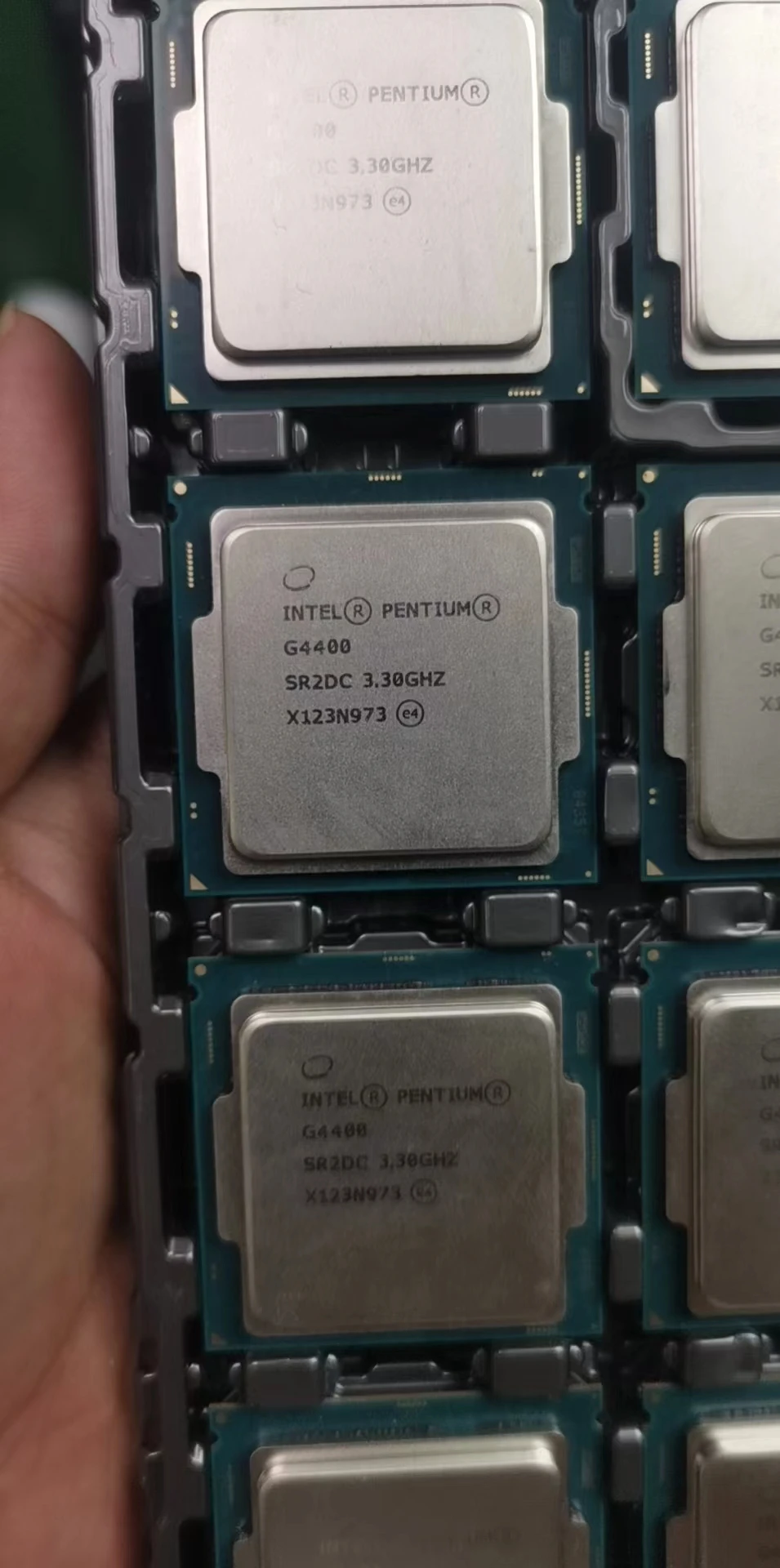 LGA1151 IntelG3900 G4400 G3930 G4560 G4600 i3 6100 7100 i5 6400 6500 Celeronn Pentium Core Processor B250 CPU