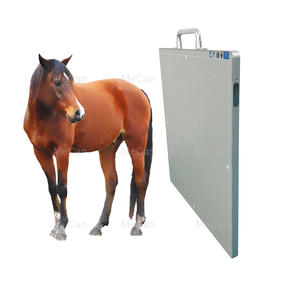 Домашние животные рентгеновский беспроводной DR цифровой плоский панельный детектор ветеринарный для