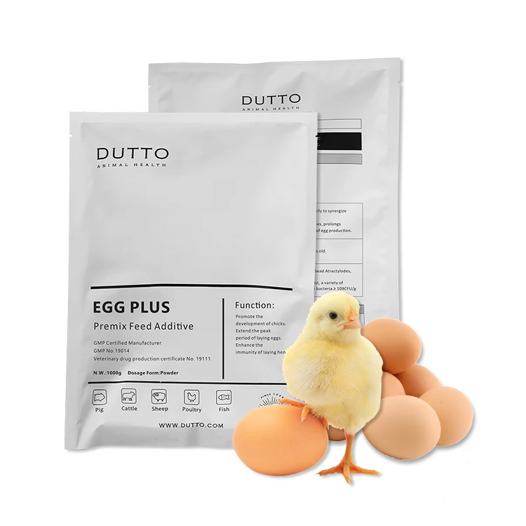 DUTTO layer feed More eggs premix concentrate poultry feed feeds direct manufactures