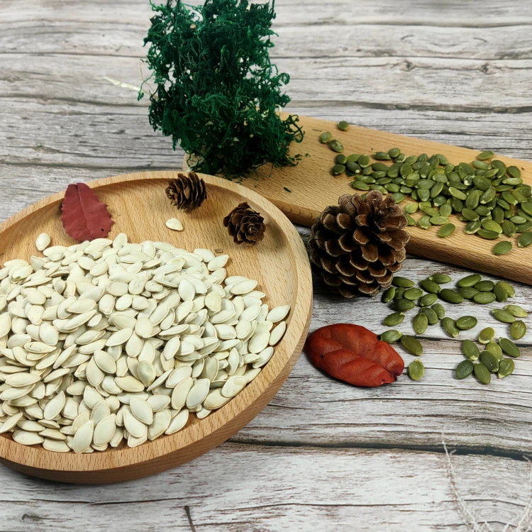 Chinese Good Quality Snow White Pumpkin Seeds Best Quality Shine Skin Pumpkin Seed 6.3-8mm, 8-10mm, 10mm+ Export