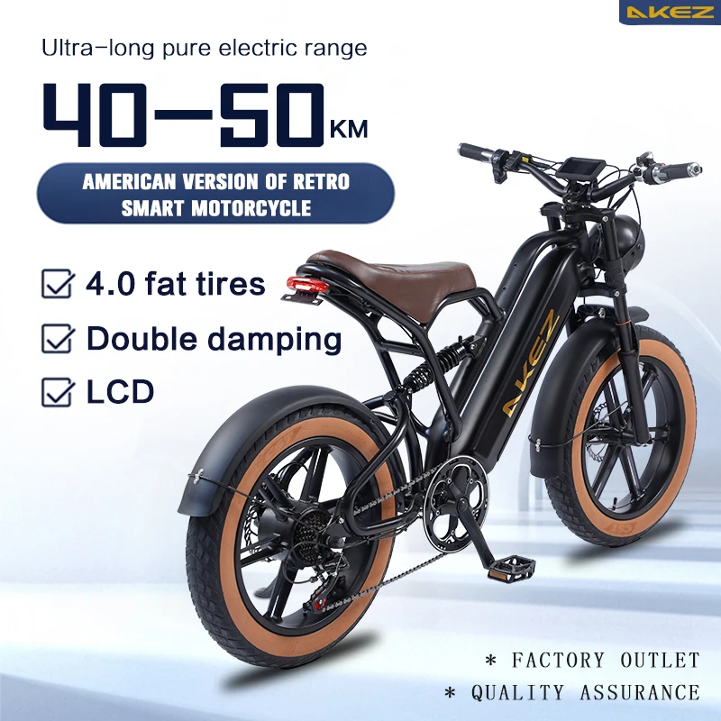 DUNCHI Best Quality Low Price Fat Tire 48v 750W Electric Bicycle E Bike Mountain E Bike Long Range