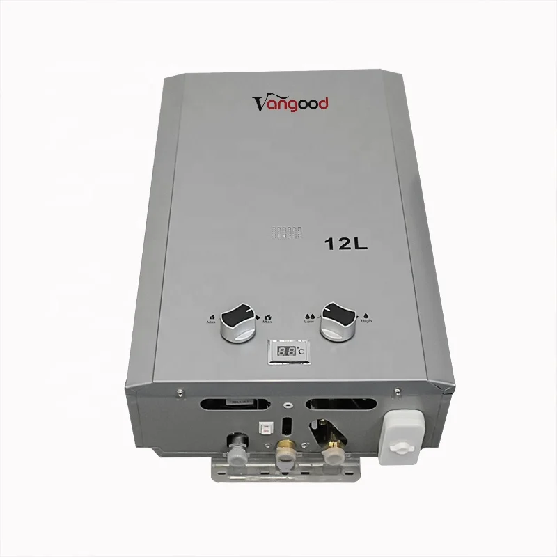 Wholesale Price Domestic Instant Propane Tankless Flue Type Gas Water Heater