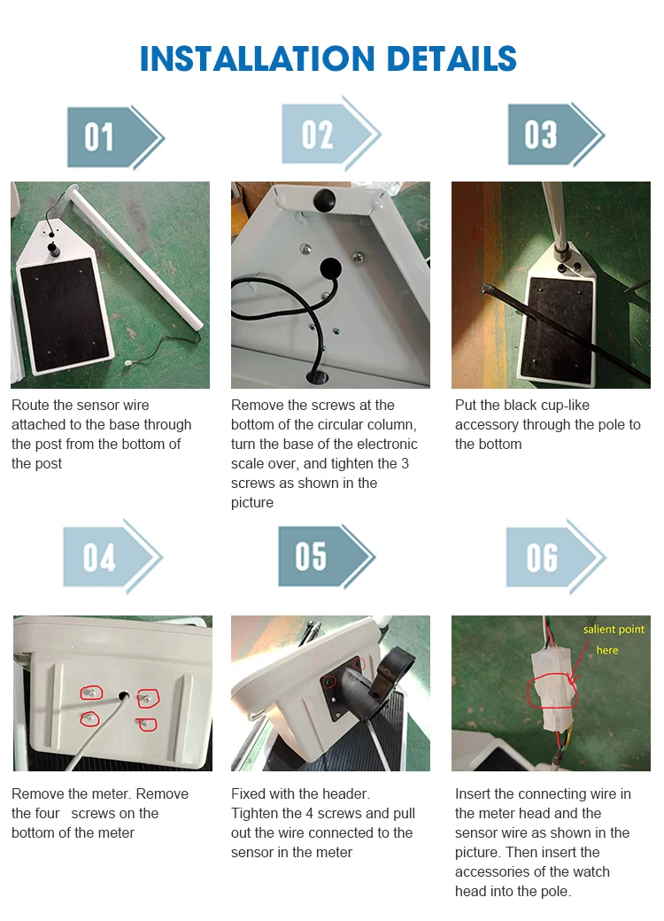 measure height weight