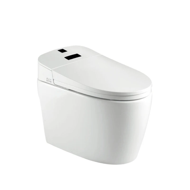 Hot sale high cost performance automatic electronic bidet intelligent smart toilet