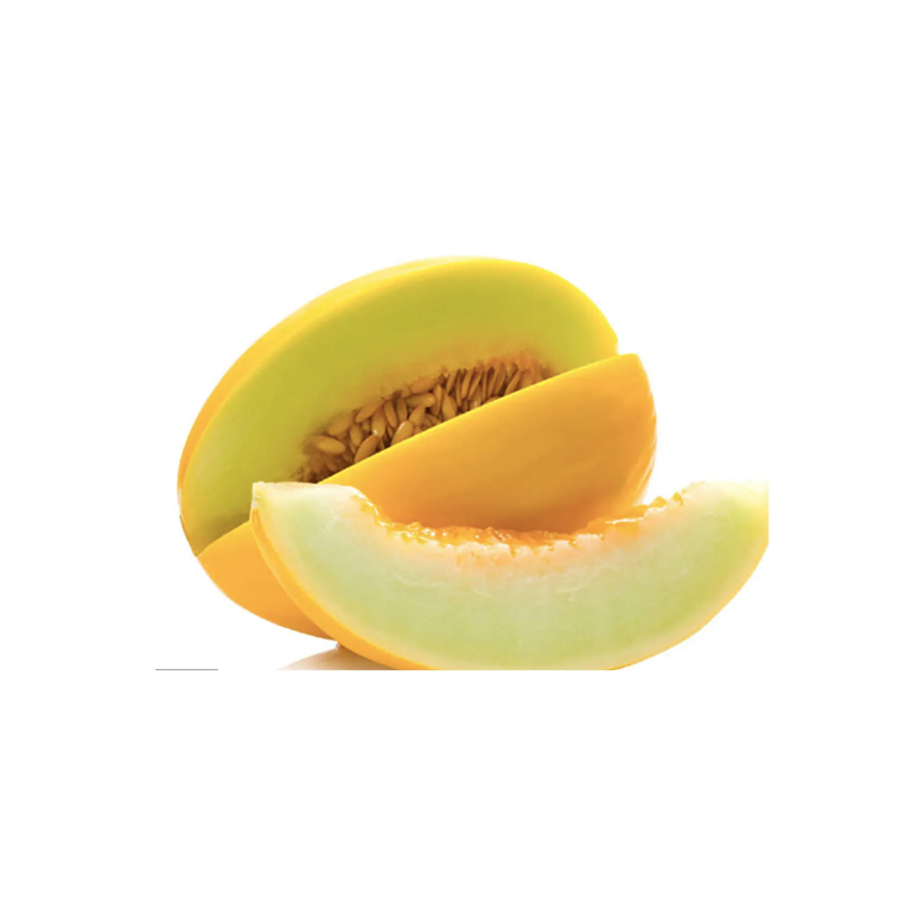 Wholesale fresh fruit importers export sweet canary yellow melon