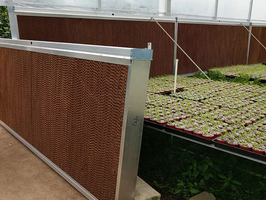 factory supply brown black 7090 5090 7060  Cooling Pad And Fan Cooling Systems For Greenhouse Poultry Farm