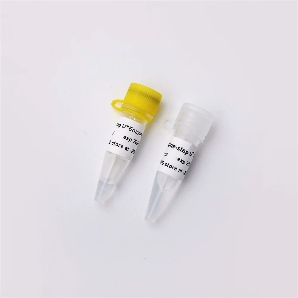GDSBIO Highly efficient and stable One-step Probe RT-qPCR Kit V3 V5011